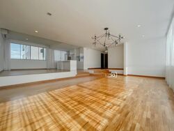 Nassim Regency (D10), Condominium #437313781
